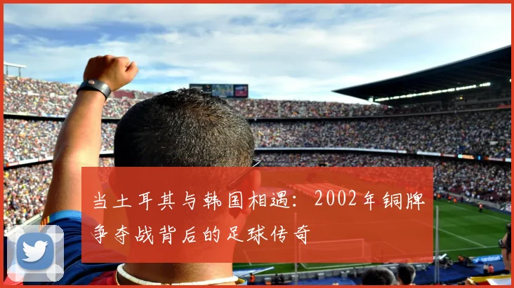 当土耳其与韩国相遇：2002年铜牌争夺战背后的足球传奇