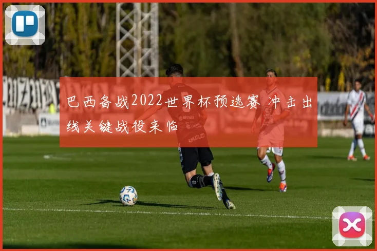 巴西备战2022世界杯预选赛 冲击出线关键战役来临