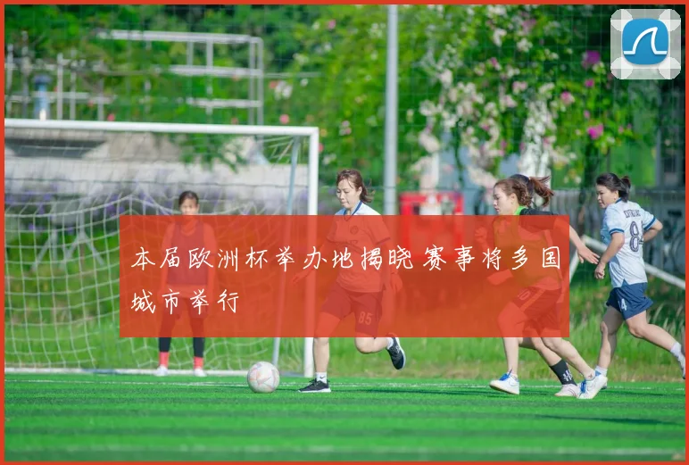 本届欧洲杯举办地揭晓 赛事将多国城市举行